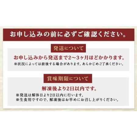 ふるさと納税 長崎県産 本マグロ3種盛り「大トロ・中トロ・赤身」約3kg 長崎県時津町