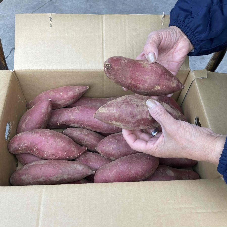 茨城産　甘いさつまいも　紅はるか　Mサイズ　5ｋｇ