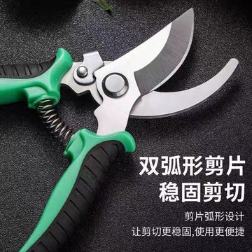 【可開收據】園林不鏽鋼省力果樹剪刀 修枝剪花剪粗枝剪  園藝工具 樹枝剪花枝剪刀 RTRE