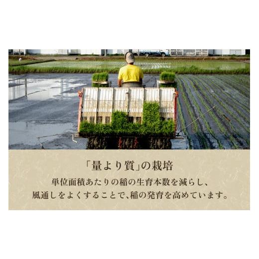 ふるさと納税 新潟県 加茂市 新潟県加茂市産 特別栽培米コシヒカリ 精米 20kg（5kg×4） 従来品種コシヒカリ 加茂有機米…