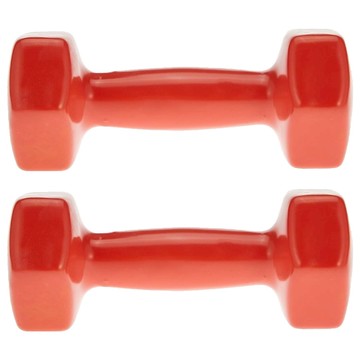 三次方 塑身小啞鈴 1Kg-紅色  2支