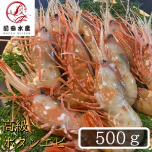 　お刺身用　高級　ボタン海老　オス　Lサイズ　500ｇ（9～12尾入れ）　鮮度抜群　冷凍品　急速凍結品（ボタンエビ　エビ　海老