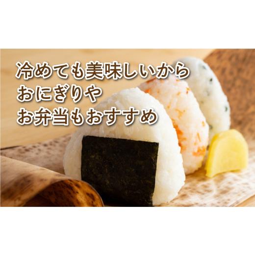 ふるさと納税 福島県 田村市 ＼ 年内発送 12／24(日)決済完了分まで！／定期便6回 田村産 コシヒカリ10kg 毎月 お届け お米 福島県 田村…