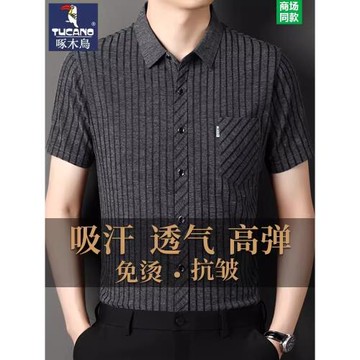 啄木鳥桑蠶絲短袖襯衫男士2025新款條紋亞麻襯衣中年夏裝冰絲半袖