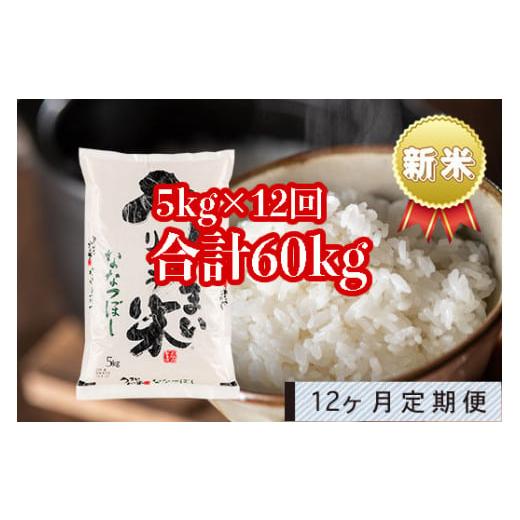 ふるさと納税 北海道 雨竜町 うりゅう米「ななつぼし」5kg 定期便！毎月1回・計12回お届け