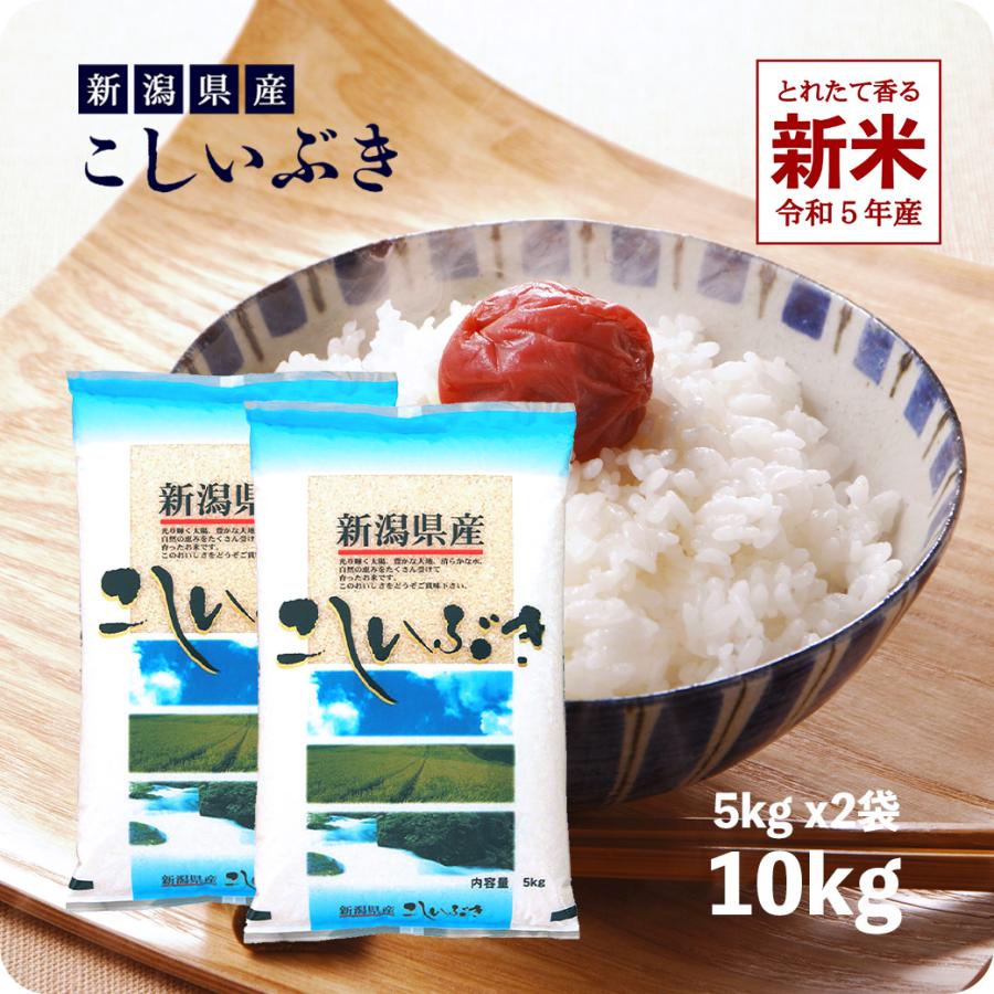 新米 10kg 新潟産こしいぶき お米 10キロ 送料無料 令和5年産 白米 精米