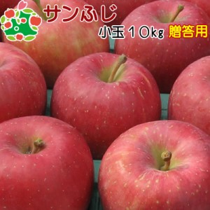 りんご 贈答用 青森県産 サンふじ 特選 小玉 10kg 送料無料 産地直送 産直 プレゼント 内祝 お返し 贈答品 食べ物 旬の くだもの 果物