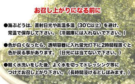 先行予約！2024年4月頃発送　南城市産海ぶどう500ｇ