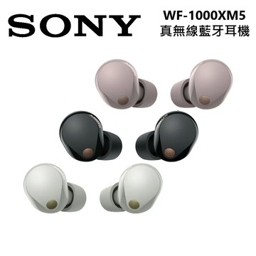 SONY WF-1000XM5