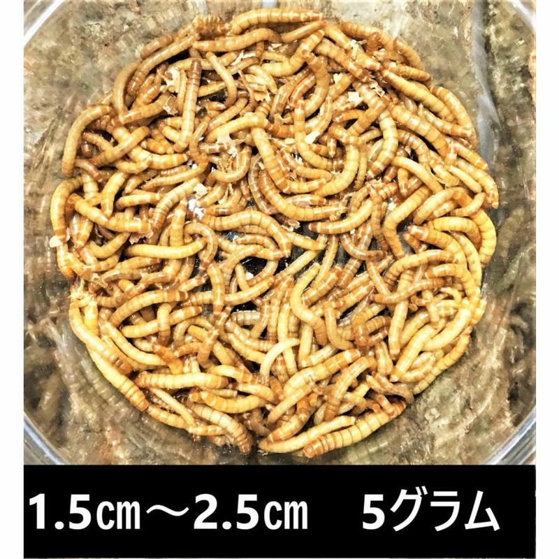 日本最大級 生餌専用の色揚げ飼料 コオロギやミルワームの餌 50g