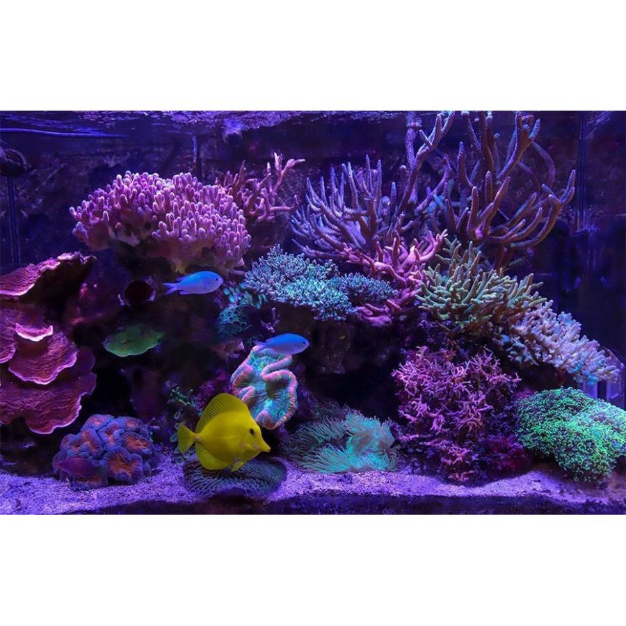 レッドシー Reef LED90 マウントアームのセット - 魚用品/水草