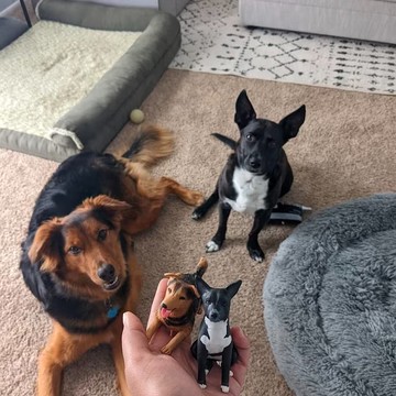 【客製化3D寵物紀念公仔】訂製手作似顏繪肖像狗狗貓咪毛小孩娃娃