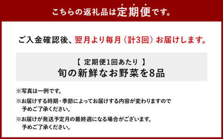 特別栽培 季節のお野菜セット 8品 おまかせ やさい