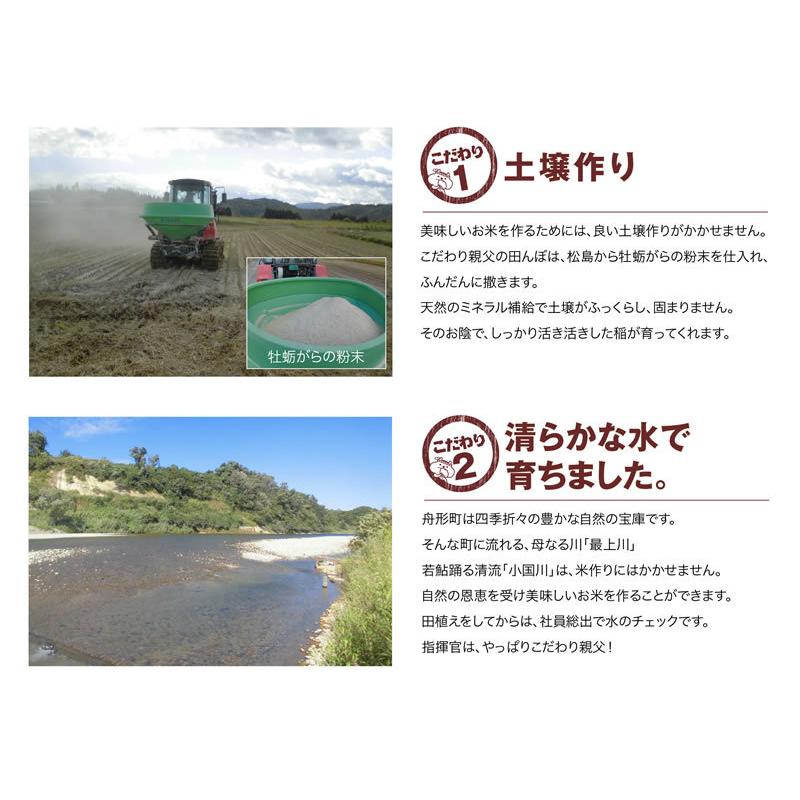 ミルキークイーン新米5ｋｇ　山形県産　令和5年産　精白米　送料無料（沖縄離島除く）産直