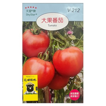SkyStar 天星牌 大果番茄種子  1包