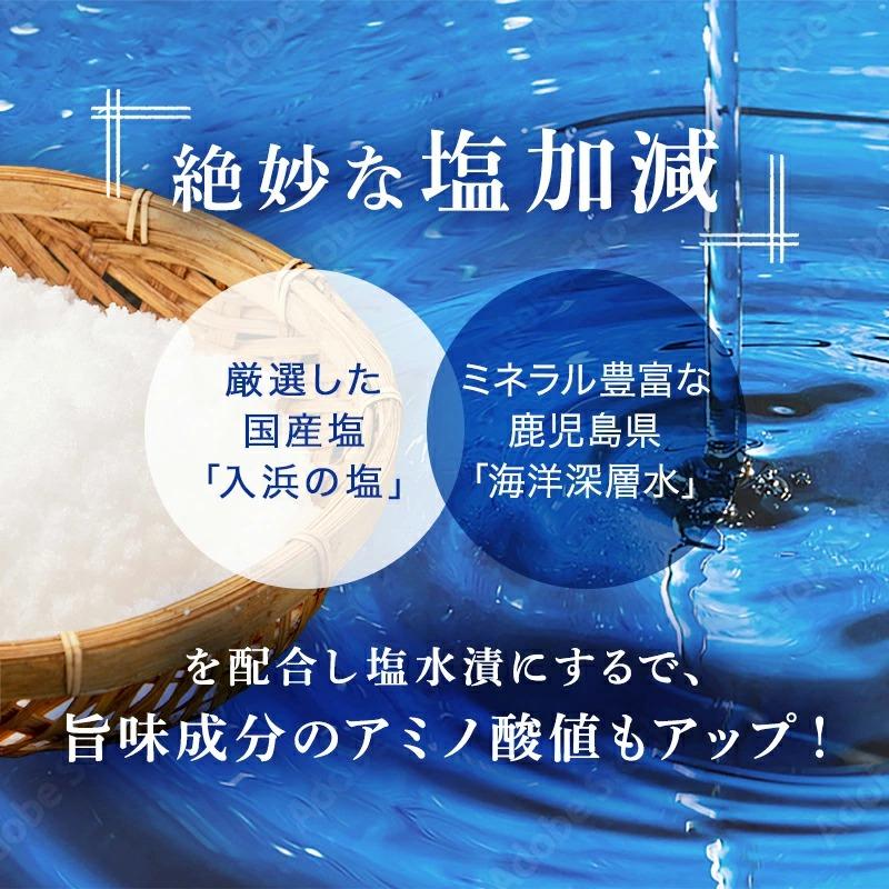 ししゃも 子持ち 干物 からふとししゃも 1kg(500g×2パック) 卵率15%以上 アイスランド産