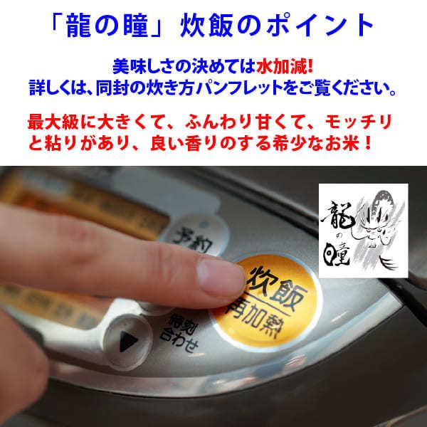 新米入荷 龍の瞳 5kg 令和5年産米 岐阜県産 白米  送料無料 一部地域除く