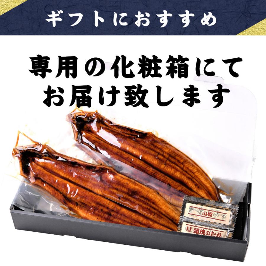 うなぎ 蒲焼き 1尾 鰻 特大 約250g ふっくら 肉厚