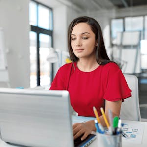 The Payroll Professional