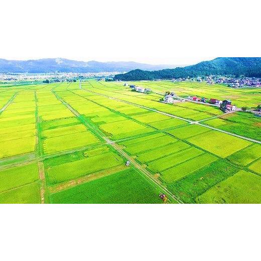 ふるさと納税 新潟県 南魚沼市 南魚沼産コシヒカリ「秋雪」白米5kg×3回 新潟県の特A地区南魚沼市の美味しいお米【2023年10月…