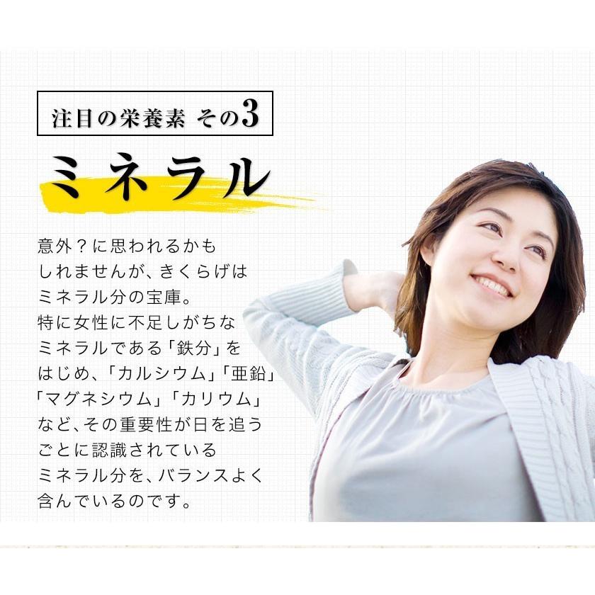 乾燥 きくらげ 九州産 送料無料 1袋30g 国産 木耳 食物繊維 たっぷり きのこ 低カロリー 栄養豊富 お試し 7-14営業日以内に出荷予定(土日祝日除く)