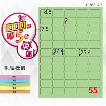 熱銷推薦【longder龍德】電腦標籤紙 55格 LD-853-G-B 淺綠色 1000張 影印 雷射 貼紙