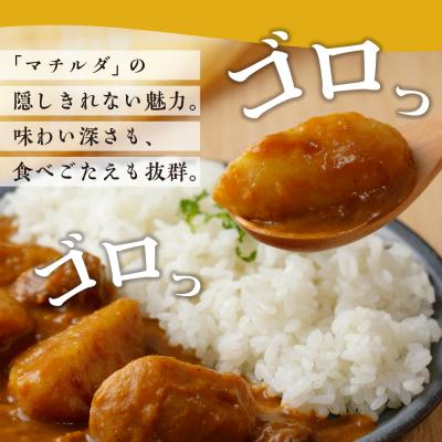 ふるさと納税 芽室町 マチルダカレー(スパイシー)5袋セット me003-090c