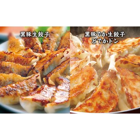 ふるさと納税  八代市東陽町の生姜を使った 餃子の王国 餃子 8種詰合せ 生餃子 熊本県八代市