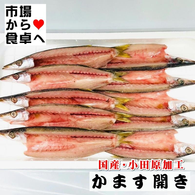 かます干物 10枚(1枚約110g)こだわりの手開き、地元でも愛され長く干物づくりを行っています