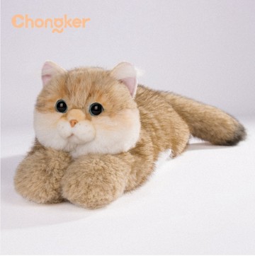 CHONGKER-英國短毛貓娃娃(金漸層)