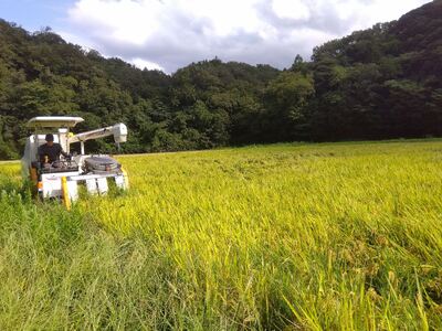  島根県 江津市産 邑智郡産 きぬむすめ 10㎏×6回令和5年産 新米 白米