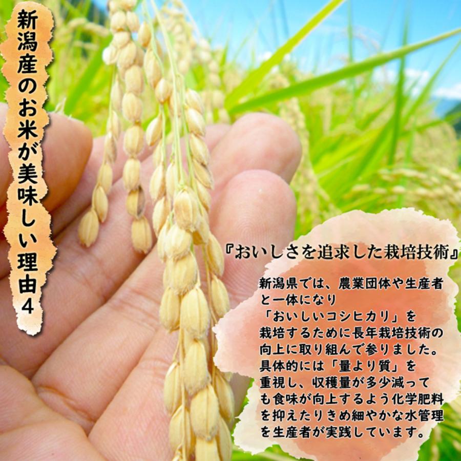新米 令和５年産 新潟産 特別栽培米コシヒカリ 白米10kg （5kg×2袋）「香り」「ツヤ」「甘味」「粘り」高水準、プロ仕様、自慢のコシヒカリ