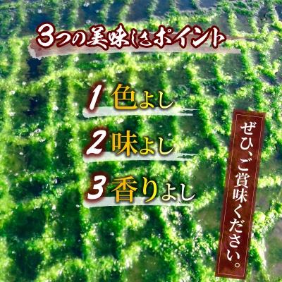 ふるさと納税 天草市 天草特産乾燥あおさ25g　6個セット_S100-001A