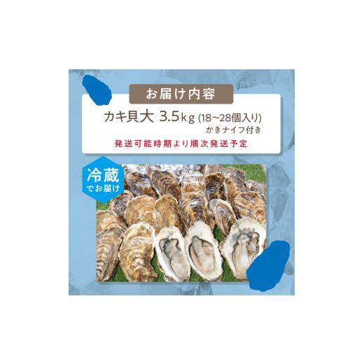 ふるさと納税 北海道 北見市 サロマ湖自慢の殻付きカキ貝 大 3.5kg詰め 牡蠣 かき 濃厚 大きい 魚介類 貝類 殻付 殻付き牡蠣 BBQ バー…