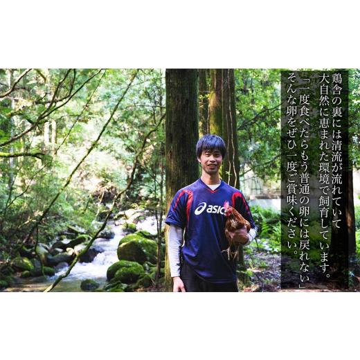 ふるさと納税 和歌山県 那智勝浦町 国産飼料にこだわった鶏が産む安全安心の 『レモン色たまご』1パック（10個入り）×3