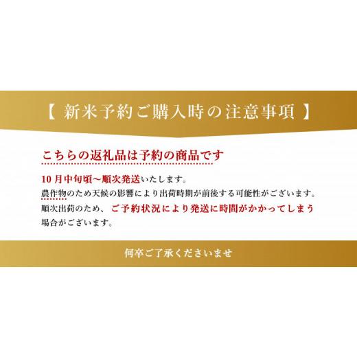 ふるさと納税 熊本県 和水町 新米 令和5年産 ひのひかり 白米27kg（27kg×1袋）