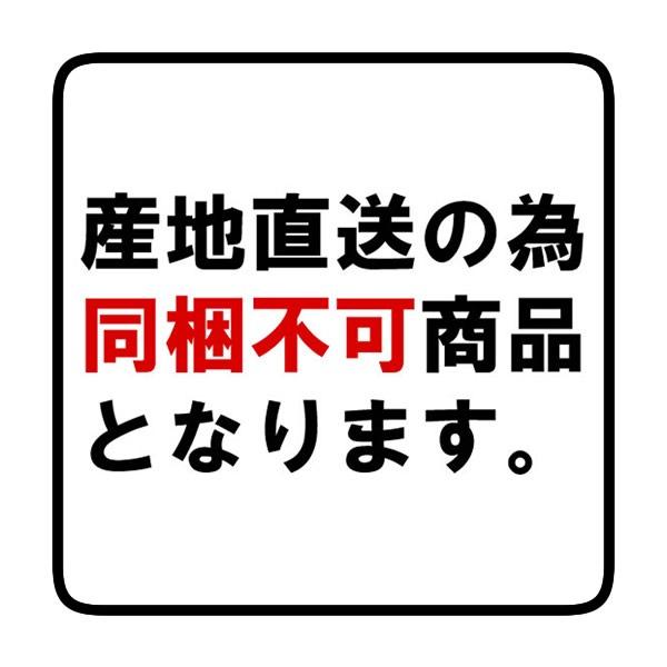 日光ゆば特選5点セット