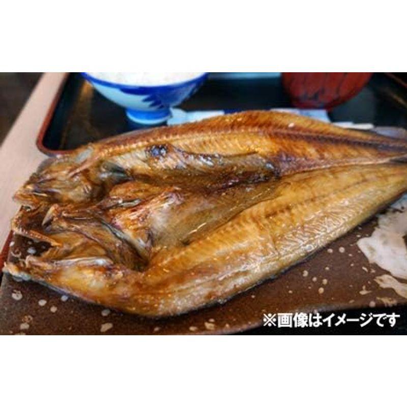 干物セット ほっけ 干物 ホッケ 開き 1枚真空 8枚セット 干物 ギフト セット