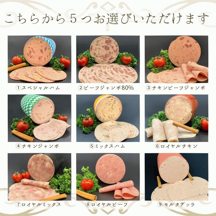 選べる 牛肉 と 鶏肉 の ハムソーセージ 5種 詰め合わせ ギフト 化粧箱入り