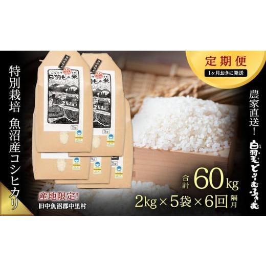 ふるさと納税 新潟県 十日町市 ≪令和5年産≫農家直送！魚沼産コシヒカリ　特別栽培「白羽毛の米」精米(2kg×5袋)×6…