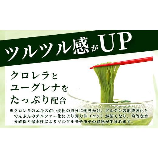 ふるさと納税 沖縄県 石垣市  ≪そうめん≫ 石垣島のユーグレナ＆クロレラ入り乾麺(そうめん180g×4袋) ×化粧箱入り２箱(そうめん合計8袋)【そうめん ソーメ…