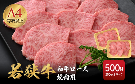 若狭牛 和牛ロース焼肉用 計500g （250g ×2パック）福井県産 ロースA4等級 以上を厳選！ [e02-c011]