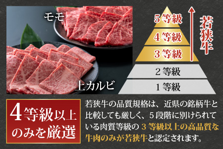 若狭牛焼肉食べ比べセット 1kg(上カルビ500g×1パック・モモ500g×1パック)