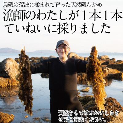 ふるさと納税 瀬戸内市 風味豊かな 瀬戸内 わかめ 22g×9袋 エビス水産 [No.5735-1278]