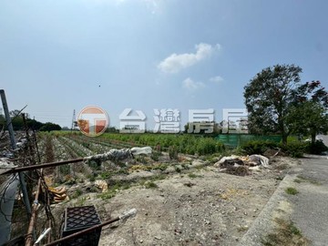 彰化大面寬方正有水有電美農地｜彰化縣田尾鄉海豐段
