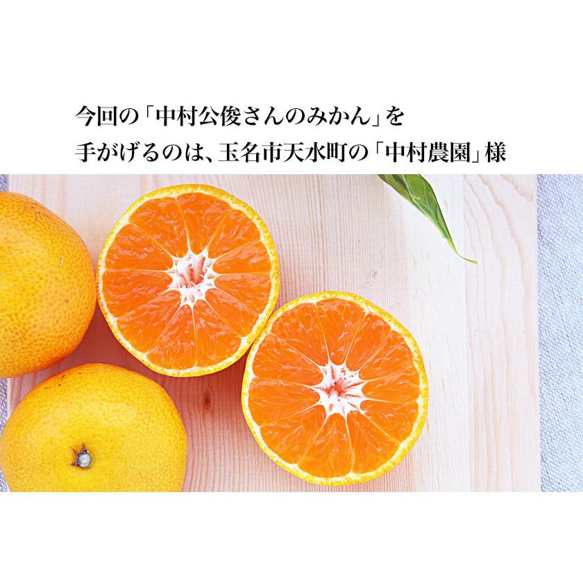 みかん 3代目みかん職人 中村公俊さんのみかん 5kg 熊本県産 S-Lサイズ混合 ミカン 果物 柑橘 フルーツ 7-14営業以内発送予定(土日祝除く)