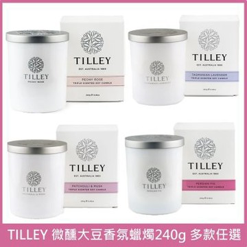 TILLEY 微醺大豆香氛蠟燭240g (牡丹玫瑰/希臘盛夏無花果/塔斯馬尼亞薰衣草)任選