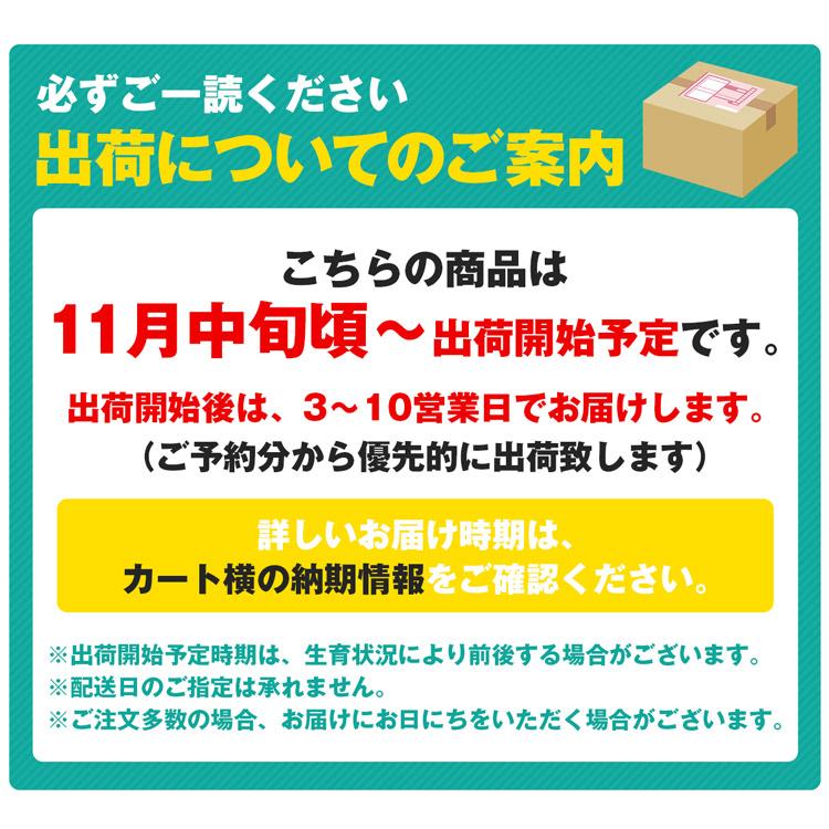 味まるみかん 大玉 糖度12度 2.7kg 長崎県産 ご家庭用 2Lサイズ JAながさき西海 常温便 同梱不可 指定日不可 ミカン 蜜柑