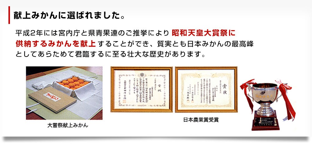 愛媛県より産地直送 JAにしうわ 日の丸みかん ガキ大将 LからＳサイズ 5キロ(40玉から60玉) 送料無料   蜜柑 ミカン