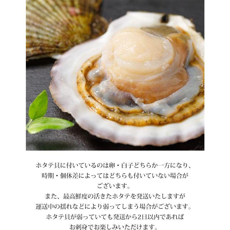 貝類 天然活ホタテ 約3kg 約12〜18枚 北海道産 春木商店 ほたて シーフード 海鮮 グルメ